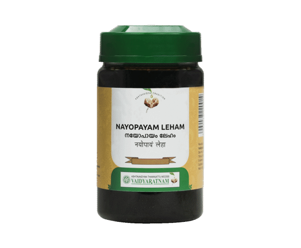NAYOPAYAM LEHAM 250g